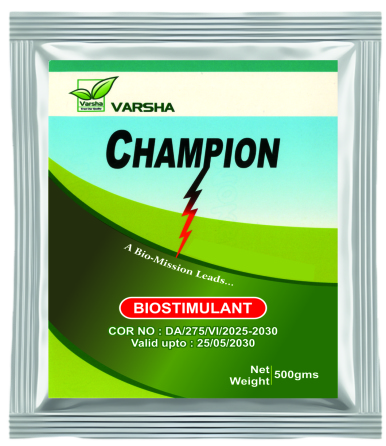 Champion