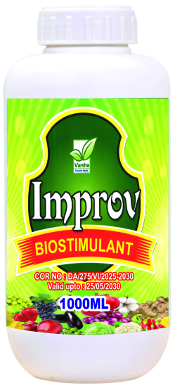 Improv