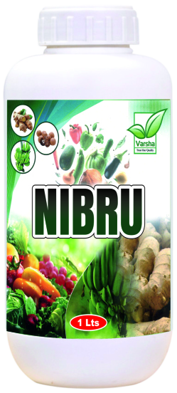Nibru